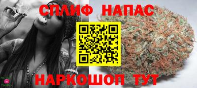 прущие грибы Будённовск