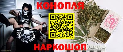 прущие грибы Будённовск