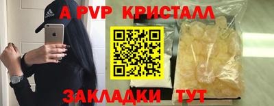 стаф Бузулук
